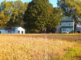 Property photo 4 - REAL ESTATE AUCTION OFFERED IN 3 TRACTS IN WABASH COUNTY, INDIANA