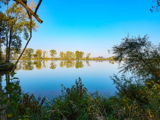 Property photo 6 - REAL ESTATE AUCTION OFFERED IN 3 TRACTS IN WABASH COUNTY, INDIANA