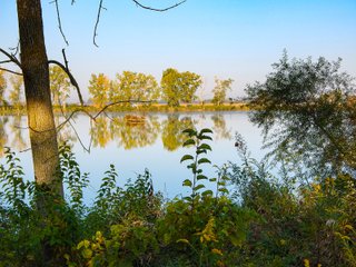 Property photo 9 - REAL ESTATE AUCTION OFFERED IN 3 TRACTS IN WABASH COUNTY, INDIANA