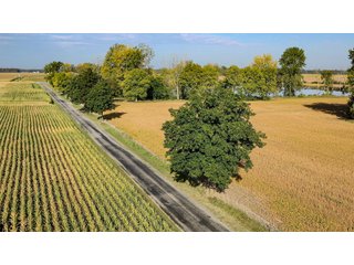 Property photo 23 - REAL ESTATE AUCTION OFFERED IN 3 TRACTS IN WABASH COUNTY, INDIANA