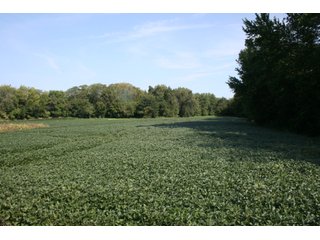 Property photo 49 - REAL ESTATE AUCTION OFFERED IN 5 TRACTS IN GRANT COUNTY INDIANA