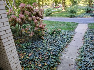 Property photo 72 - REAL ESTATE AUCTION OFFERED IN 1 TRACT IN WHITLEY COUNTY INDIANA