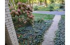 Property photo 72 - REAL ESTATE AUCTION OFFERED IN 1 TRACT IN WHITLEY COUNTY INDIANA
