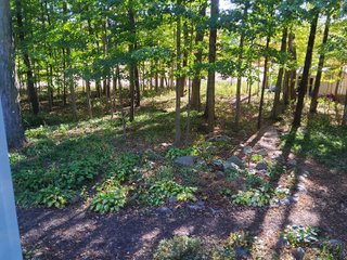 Property photo 96 - REAL ESTATE AUCTION OFFERED IN 1 TRACT IN WHITLEY COUNTY INDIANA