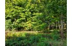 Property photo 111 - REAL ESTATE AUCTION OFFERED IN 1 TRACT IN WHITLEY COUNTY INDIANA