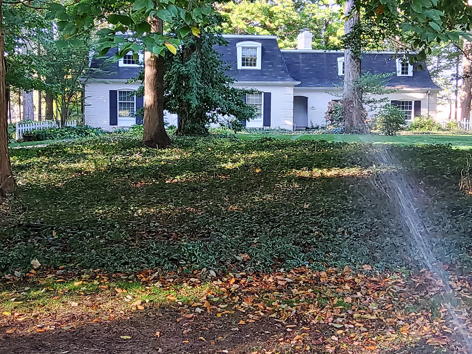 Property photo 3 - REAL ESTATE AUCTION OFFERED IN 1 TRACT IN WHITLEY COUNTY INDIANA