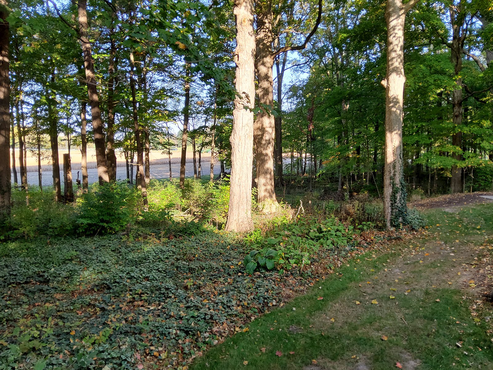 Property photo 116 - REAL ESTATE AUCTION OFFERED IN 1 TRACT IN WHITLEY COUNTY INDIANA