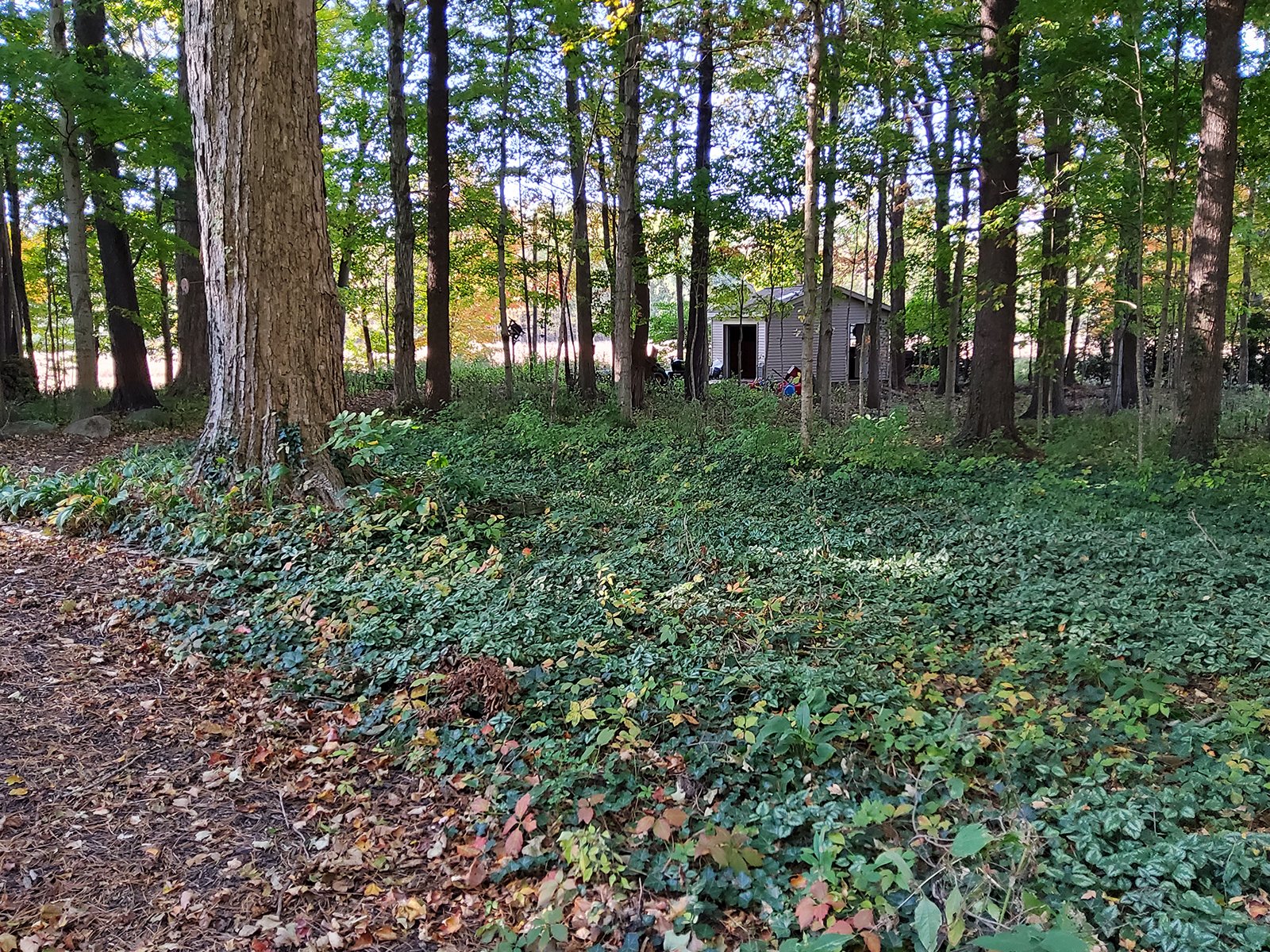 Property photo 118 - REAL ESTATE AUCTION OFFERED IN 1 TRACT IN WHITLEY COUNTY INDIANA