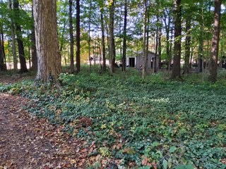 Property photo 118 - REAL ESTATE AUCTION OFFERED IN 1 TRACT IN WHITLEY COUNTY INDIANA