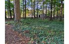 Property photo 118 - REAL ESTATE AUCTION OFFERED IN 1 TRACT IN WHITLEY COUNTY INDIANA