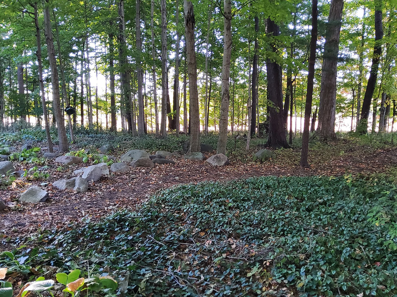 Property photo 119 - REAL ESTATE AUCTION OFFERED IN 1 TRACT IN WHITLEY COUNTY INDIANA