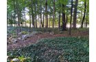 Property photo 119 - REAL ESTATE AUCTION OFFERED IN 1 TRACT IN WHITLEY COUNTY INDIANA