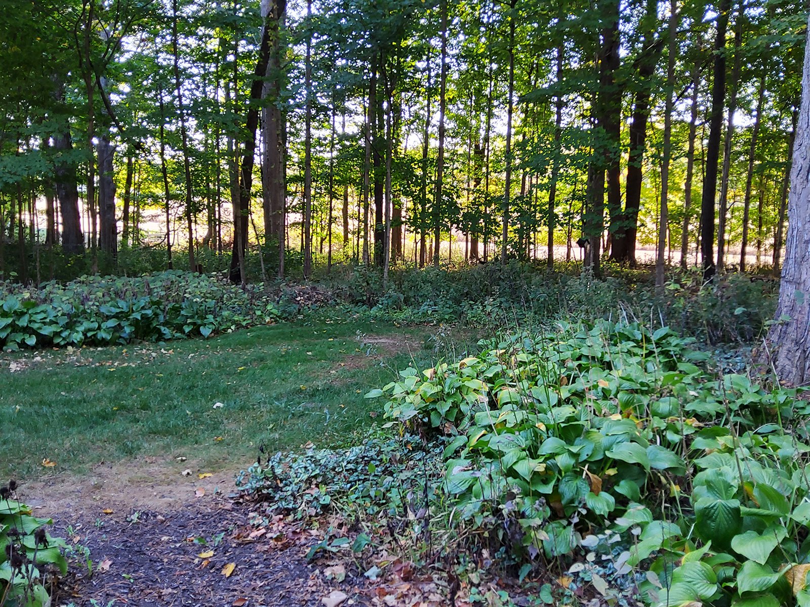 Property photo 122 - REAL ESTATE AUCTION OFFERED IN 1 TRACT IN WHITLEY COUNTY INDIANA