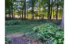 Property photo 122 - REAL ESTATE AUCTION OFFERED IN 1 TRACT IN WHITLEY COUNTY INDIANA