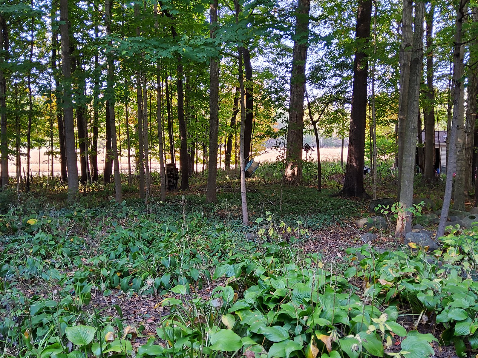 Property photo 123 - REAL ESTATE AUCTION OFFERED IN 1 TRACT IN WHITLEY COUNTY INDIANA