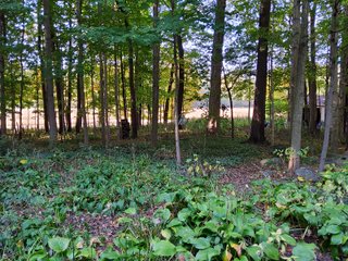 Property photo 123 - REAL ESTATE AUCTION OFFERED IN 1 TRACT IN WHITLEY COUNTY INDIANA