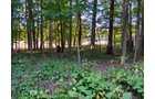 Property photo 123 - REAL ESTATE AUCTION OFFERED IN 1 TRACT IN WHITLEY COUNTY INDIANA