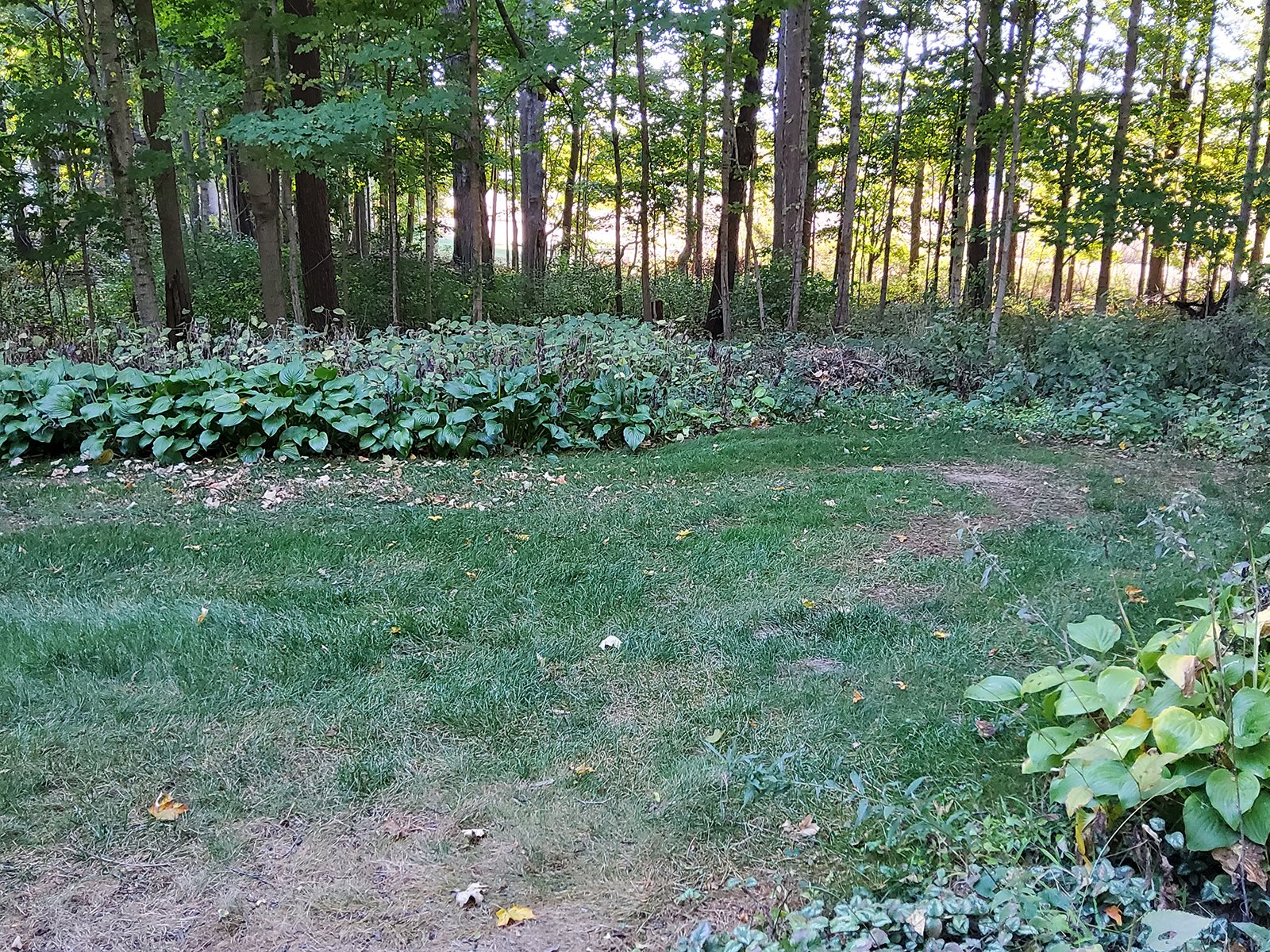 Property photo 124 - REAL ESTATE AUCTION OFFERED IN 1 TRACT IN WHITLEY COUNTY INDIANA