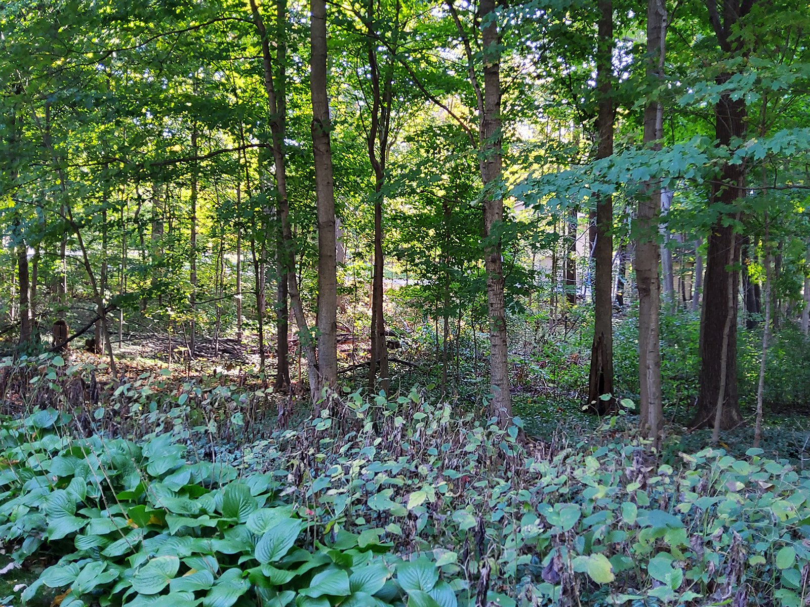 Property photo 127 - REAL ESTATE AUCTION OFFERED IN 1 TRACT IN WHITLEY COUNTY INDIANA