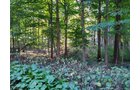 Property photo 127 - REAL ESTATE AUCTION OFFERED IN 1 TRACT IN WHITLEY COUNTY INDIANA