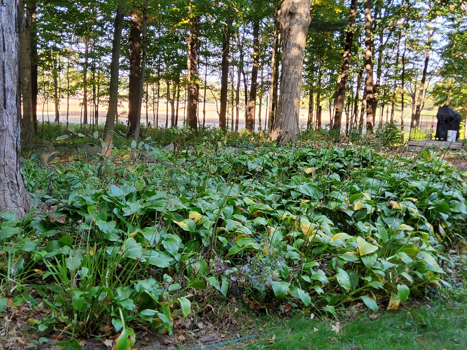 Property photo 128 - REAL ESTATE AUCTION OFFERED IN 1 TRACT IN WHITLEY COUNTY INDIANA