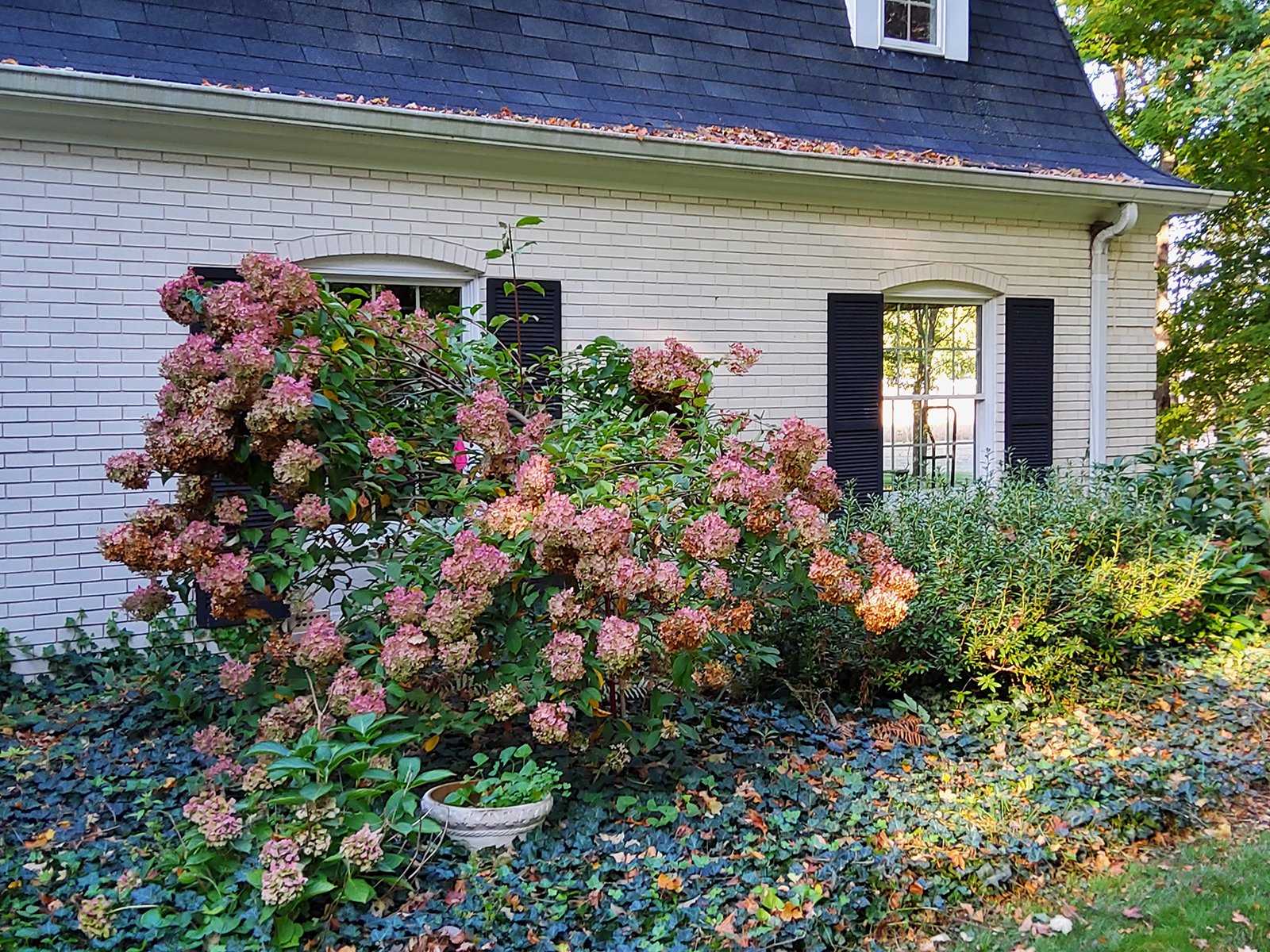 Property photo 15 - REAL ESTATE AUCTION OFFERED IN 1 TRACT IN WHITLEY COUNTY INDIANA