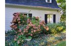 Property photo 15 - REAL ESTATE AUCTION OFFERED IN 1 TRACT IN WHITLEY COUNTY INDIANA