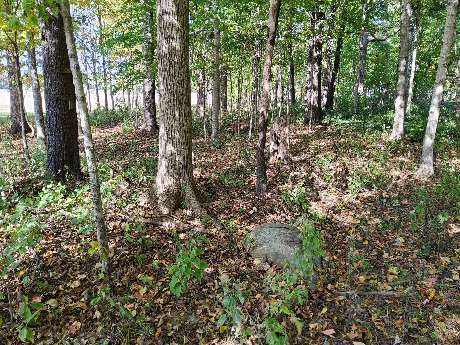 Property photo 132 - REAL ESTATE AUCTION OFFERED IN 1 TRACT IN WHITLEY COUNTY INDIANA