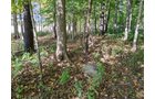 Property photo 132 - REAL ESTATE AUCTION OFFERED IN 1 TRACT IN WHITLEY COUNTY INDIANA