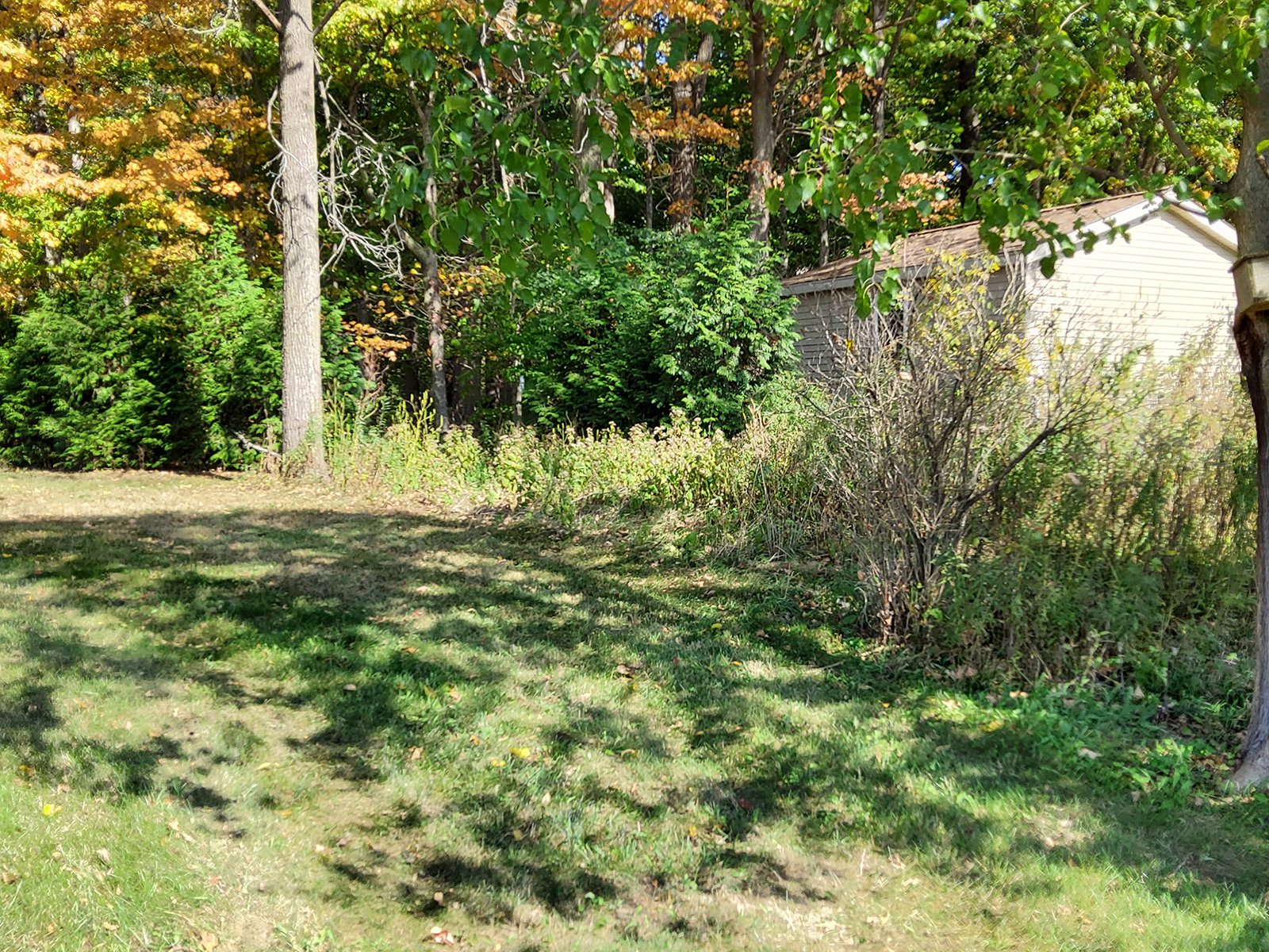 Property photo 135 - REAL ESTATE AUCTION OFFERED IN 1 TRACT IN WHITLEY COUNTY INDIANA