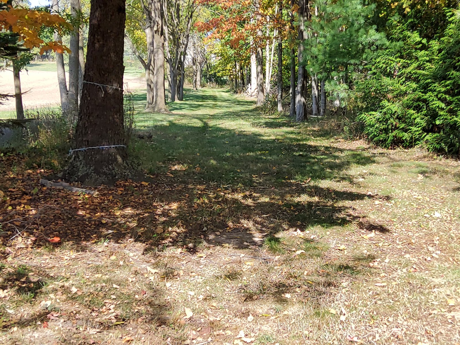 Property photo 138 - REAL ESTATE AUCTION OFFERED IN 1 TRACT IN WHITLEY COUNTY INDIANA