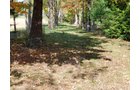 Property photo 138 - REAL ESTATE AUCTION OFFERED IN 1 TRACT IN WHITLEY COUNTY INDIANA