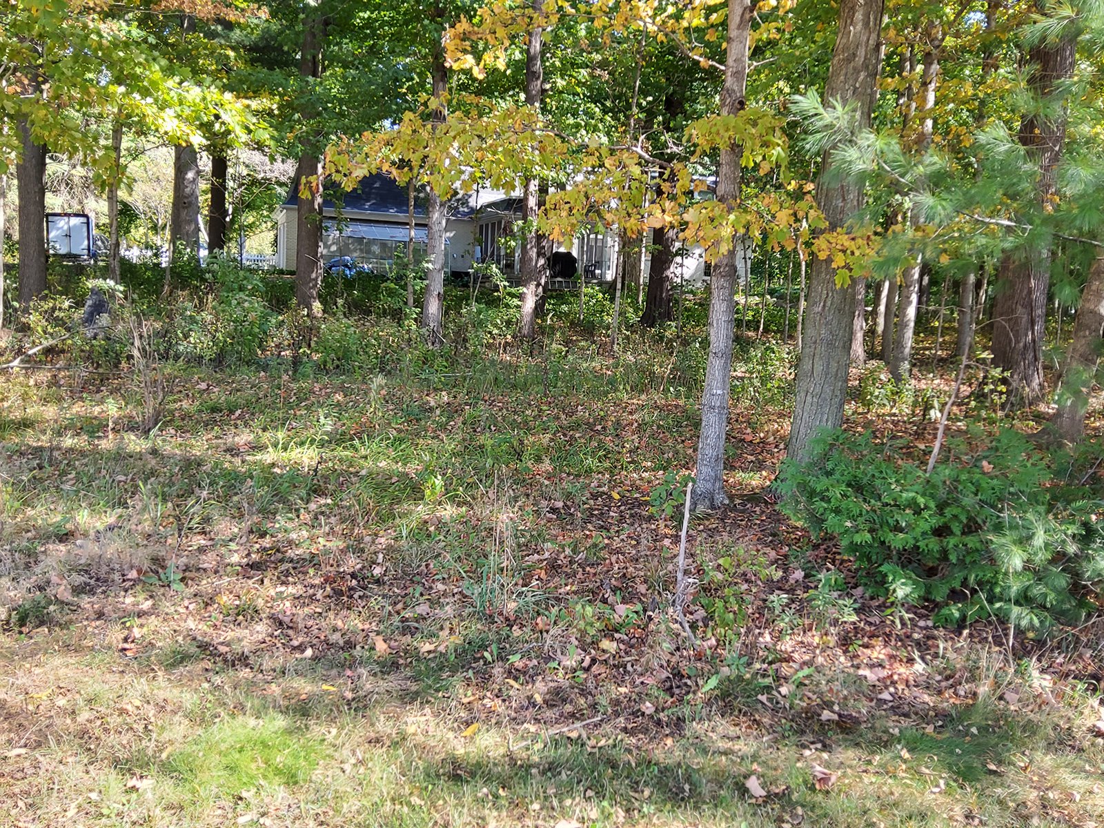 Property photo 139 - REAL ESTATE AUCTION OFFERED IN 1 TRACT IN WHITLEY COUNTY INDIANA