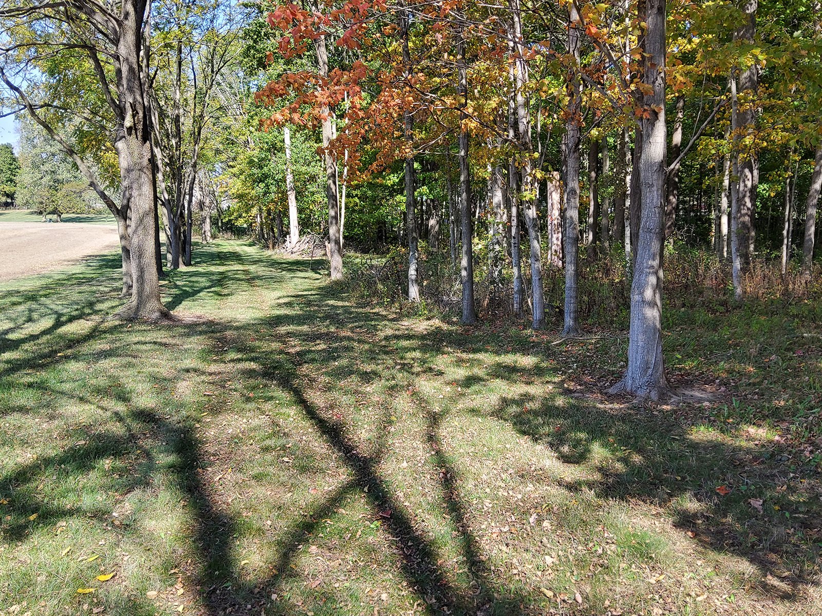 Property photo 140 - REAL ESTATE AUCTION OFFERED IN 1 TRACT IN WHITLEY COUNTY INDIANA