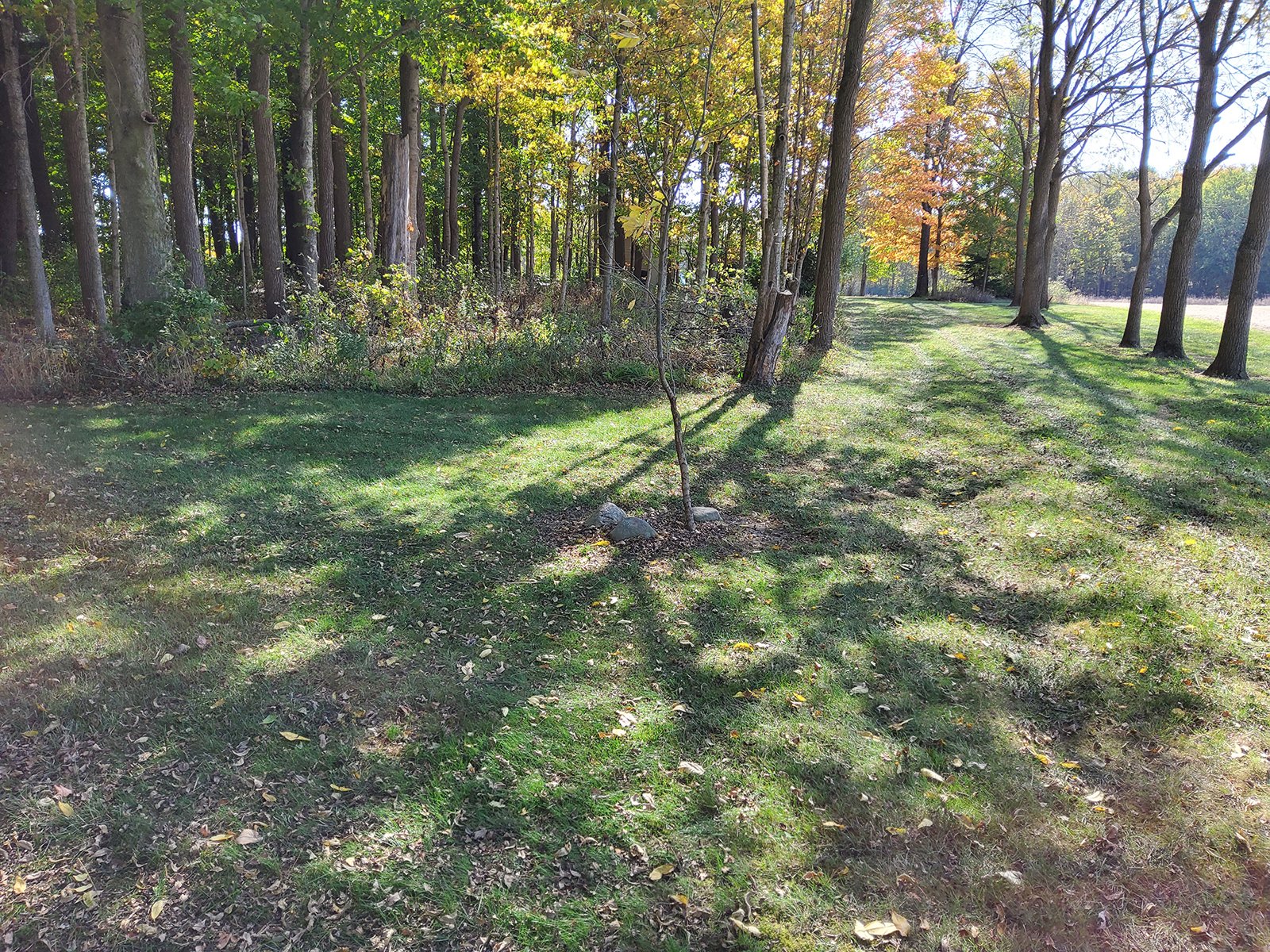 Property photo 144 - REAL ESTATE AUCTION OFFERED IN 1 TRACT IN WHITLEY COUNTY INDIANA