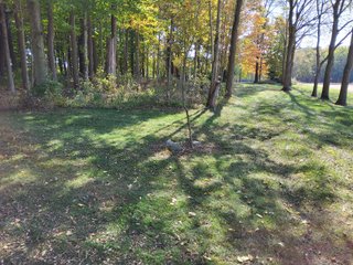 Property photo 144 - REAL ESTATE AUCTION OFFERED IN 1 TRACT IN WHITLEY COUNTY INDIANA
