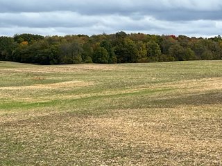 Property photo 24 - 64.12+/- ACRES LAND AUCTION OFFERED IN 3 TRACTS IN NOBLE COUNTY INDIANA