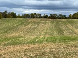 Property photo 25 - 64.12+/- ACRES LAND AUCTION OFFERED IN 3 TRACTS IN NOBLE COUNTY INDIANA