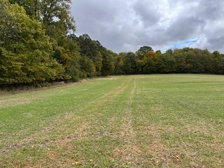 Property photo 30 - 64.12+/- ACRES LAND AUCTION OFFERED IN 3 TRACTS IN NOBLE COUNTY INDIANA
