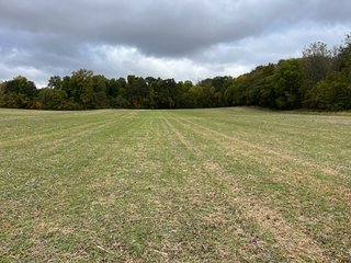 Property photo 35 - 64.12+/- ACRES LAND AUCTION OFFERED IN 3 TRACTS IN NOBLE COUNTY INDIANA