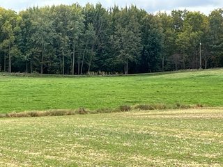 Property photo 5 - 64.12+/- ACRES LAND AUCTION OFFERED IN 3 TRACTS IN NOBLE COUNTY INDIANA