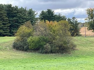 Property photo 7 - 64.12+/- ACRES LAND AUCTION OFFERED IN 3 TRACTS IN NOBLE COUNTY INDIANA