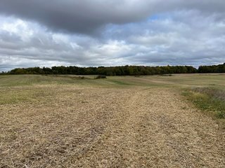 Property photo 8 - 64.12+/- ACRES LAND AUCTION OFFERED IN 3 TRACTS IN NOBLE COUNTY INDIANA