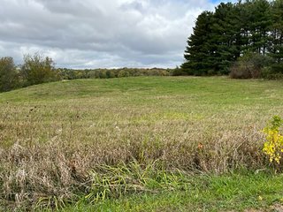 Property photo 9 - 64.12+/- ACRES LAND AUCTION OFFERED IN 3 TRACTS IN NOBLE COUNTY INDIANA