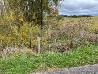 Property photo 12 - 64.12+/- ACRES LAND AUCTION OFFERED IN 3 TRACTS IN NOBLE COUNTY INDIANA