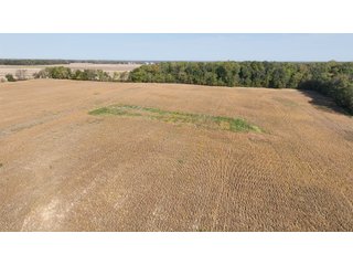Property photo 21 - 64.12+/- ACRES LAND AUCTION OFFERED IN 3 TRACTS IN NOBLE COUNTY INDIANA