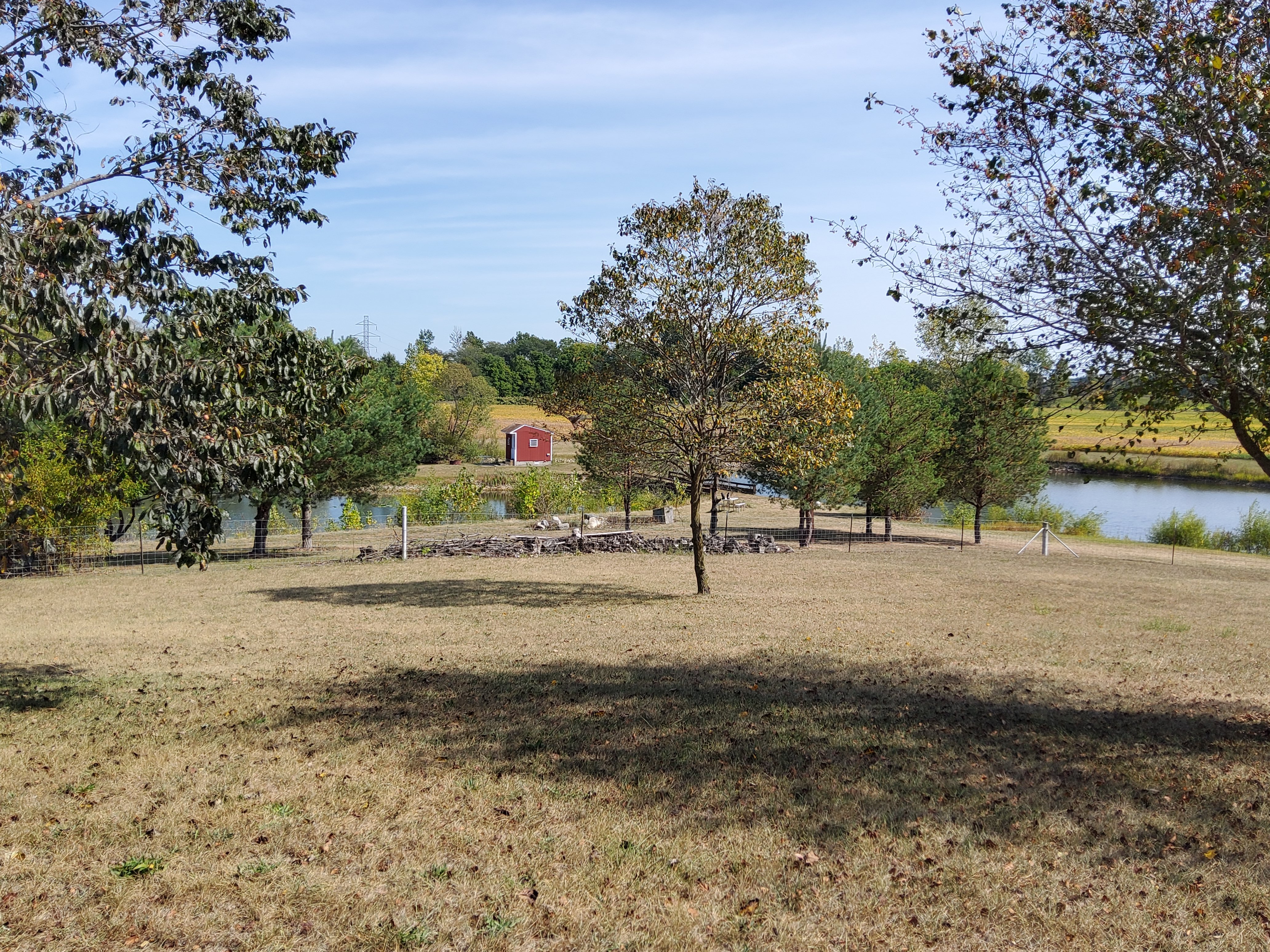 Property photo 81 - REAL ESTATE AUCTION OFFERED IN 2 TRACTS IN WHITLEY COUNTY INDIANA