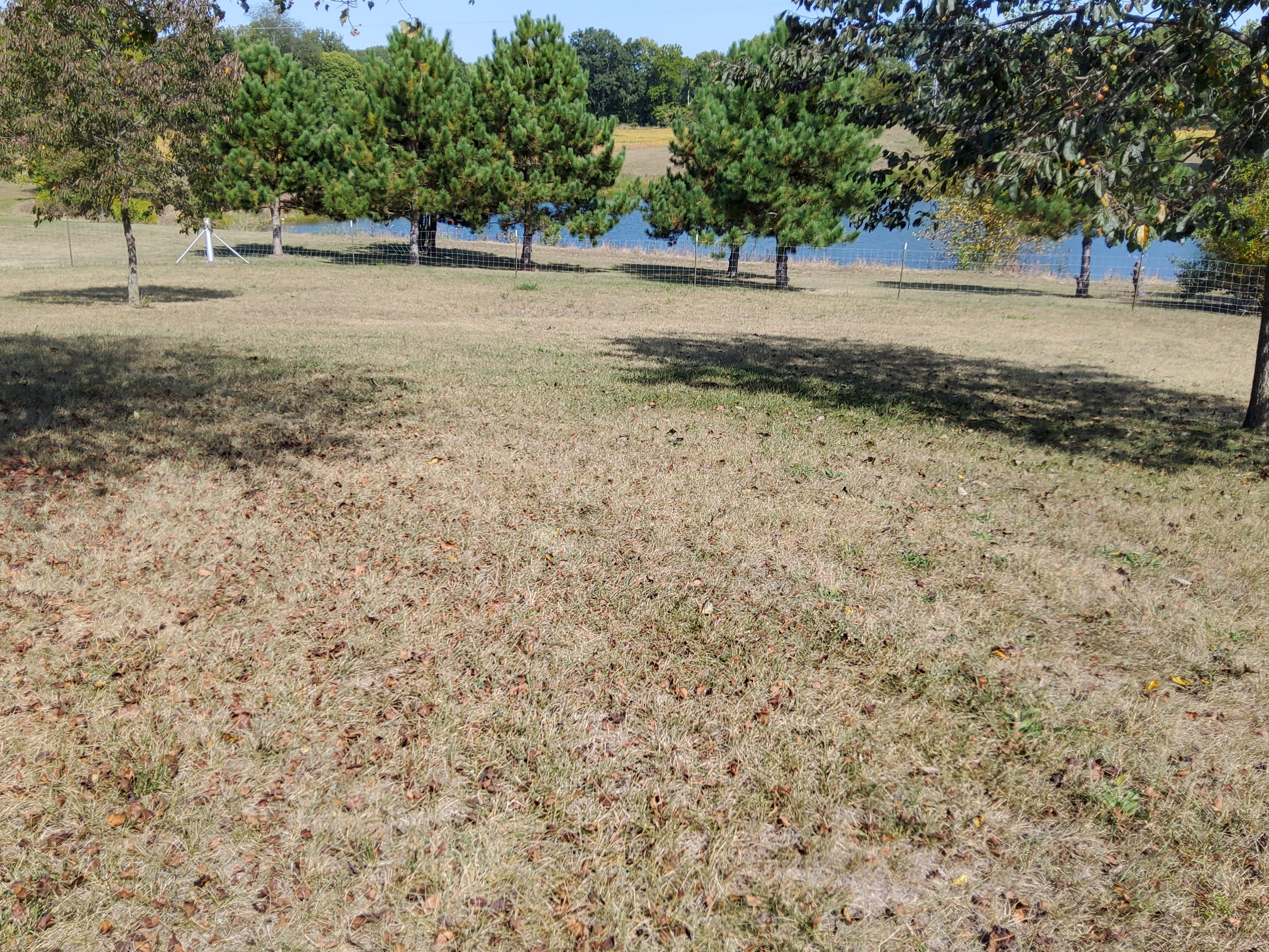 Property photo 82 - REAL ESTATE AUCTION OFFERED IN 2 TRACTS IN WHITLEY COUNTY INDIANA