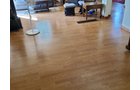 Property photo 103 - REAL ESTATE AUCTION OFFERED IN 2 TRACTS IN WHITLEY COUNTY INDIANA