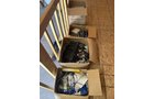 Property photo 42 - PERSONAL PROPERTY AUCTION IN SPENCERVILLE, INDIANA-ALLEN COUNTY IN